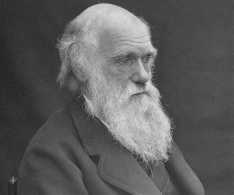 For discussion on the latest changes to charles, please see karl's blog. Charles Darwin Biography - Childhood, Life Achievements ...