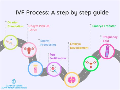 Process Of Ivf A Step By Step Guide
