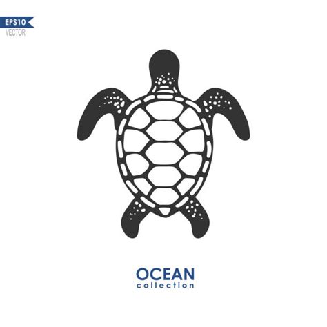 Best Turtle Shell Illustrations Royalty Free Vector Graphics And Clip