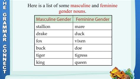 Nouns Gender Common Noun Gender Masculine Gender Feminine Gender Grammar For Class 3