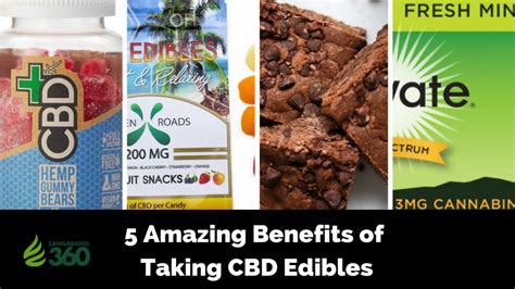 A new predator of rabbits has been introduced within an ecosystem. 5 Amazing Benefits of Taking CBD Edibles - Cannabidiol 360