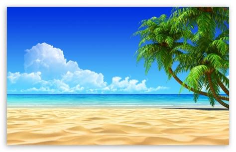 Palm Trees Ultra Hd Desktop Background Wallpaper For