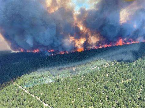 A Look Back At The 2021 Bc Wildfire Season Cbc News