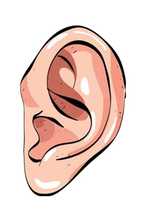 Ear Png Transparent Images Free Download Pngfre