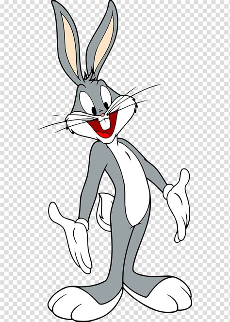 Bugs Bunny Elmer Fudd Daffy Duck Looney Tunes Cartoon Png X Px The