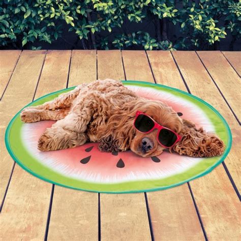 Bandms £5 Dog Cooling Mat Is Back For Summer Entertainment Daily