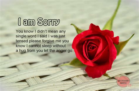 There are so many ways to say i am sorry my love see below sayings and messages that we create with images, all are just perfect to say sorry to your girlfriend, boyfriend or wife. Sincere Sorry Messages For Wife - Romantic Sorry Messages ...
