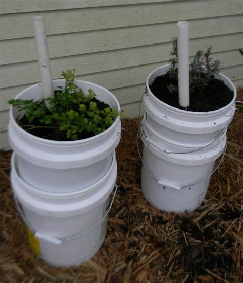 You will need to layer cardboard or landscaping/weed fabric on the bottom floor of the potato box to keep weeds from getting inside. Best 20 Diy Potato Planter (With images) | Diy potato planter, Bucket gardening, Self watering ...