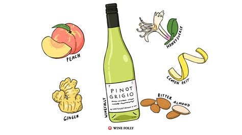 The Comprehensive Guide To Pinot Gris Wine Folly