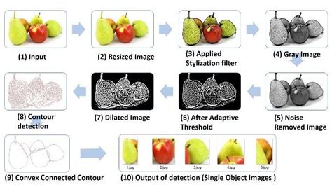 Fig Fruit Object Detection Dataset And Pre Trained Model By Hi Hot