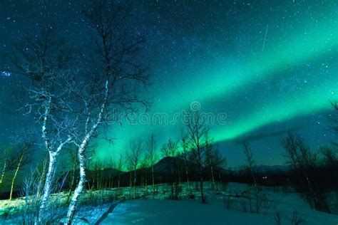 Aurora Borealis Northen Lights Phenomenon Stock Image Image Of Ight