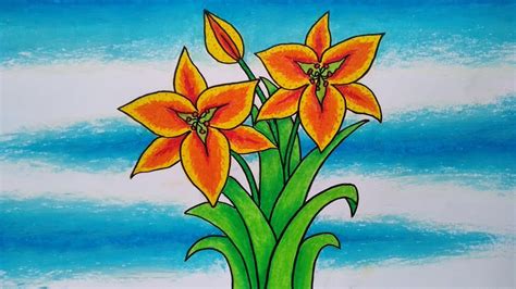 Belajar Menggambar Dan Mewarnai Bunga Menggambar Bunga Lily Cara