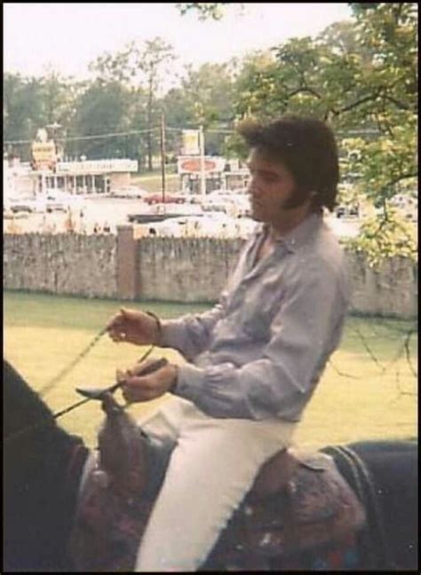 Elvis And His Horse 💛 Elvis Presley Photo 43832844 Fanpop