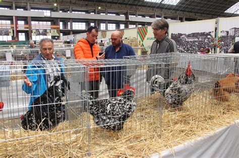 Oct 08, 2021 · la cuarta asamblea abierta contra la imposición de la ola en torrelavega, que se celebró el pasado jueves con «cerca de medio centenar de asistentes», acordó realizar una campaña informativa. Torrelavega, cruce de caminos: Torrelavega: El Mercado ...
