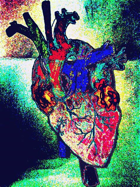Human Heart By Chelby Marcil On Deviantart