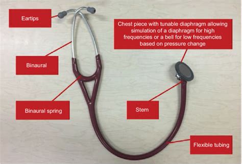 The Stethoscope Hubpages