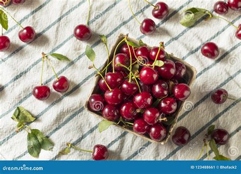 Raw Red Organic Tart Cherries Stock Image Image Of Cherry Gourmet