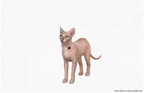 Sims 4 Hairless Cat