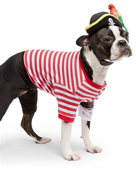 Matching Owner And Dog Costumes For A Pet Rifyingly Cute Halloween