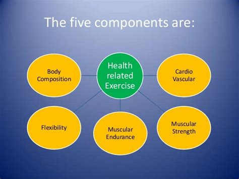 Components Of Health Related Fitness And Skill Related Fitness Doctor