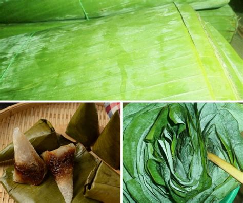 Kuih tepung gomak ini rasa sedap dan berbeza disebabkan ia bersalut dengan tepung/serbuk kacang hijau. Cara Pilih Daun Pisang Dan Cara Nak Gunakannya Simpan Pun ...