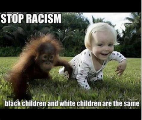 50 Top Racist Meme Pictures And Hilarious Joke Quotesbae