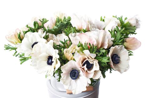 Closeup Of A White Poppies Anemones In Vase Many Flowers Light
