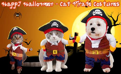 Funny Cat Pirate Costumes Caribbean Style Pet Dressing