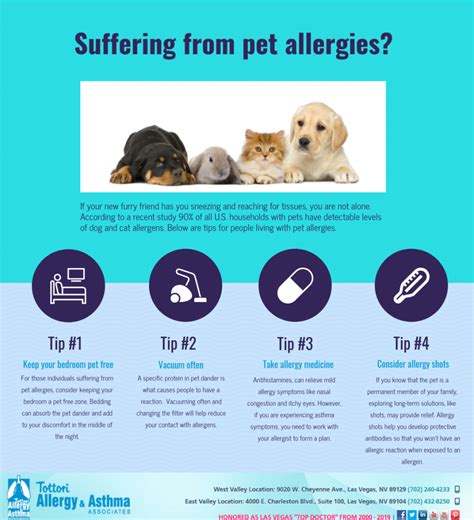 Suffering From Pet Allergies Infographic Tottori Allergy And Asthma