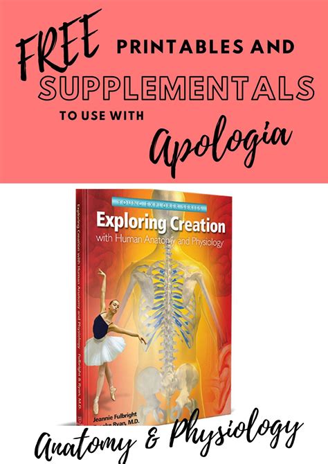 Apologia Anatomy Printables Anatomy Worksheets