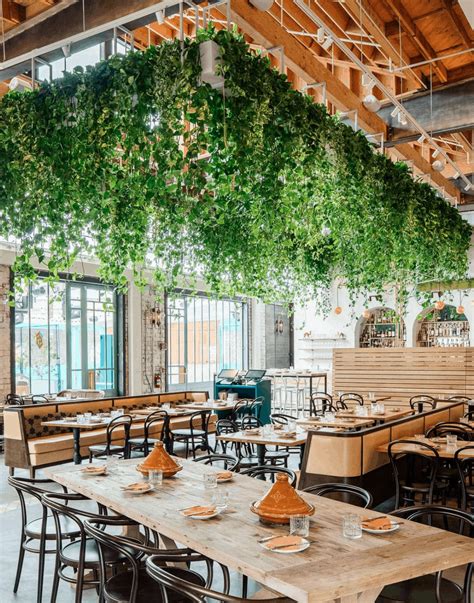 Greenery On Your Restaurants Ceiling Silk Flower Depot