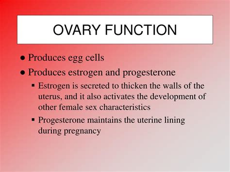 Ppt Ovaries And The Fertility Cycle Powerpoint Presentation Free