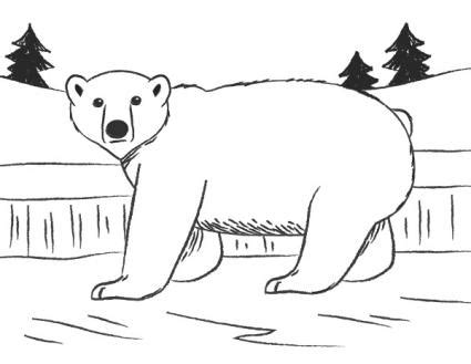 Maybe you would like to learn more about one of these? How to Draw a Polar Bear | LoveToKnow