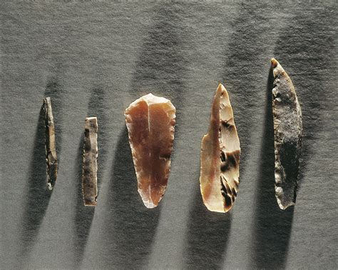 Prehistoric Stone Tools Categories And Terms