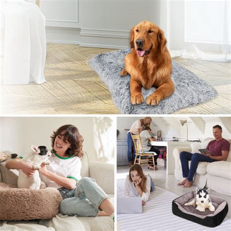 Best Dog Beds For Golden Retrievers Comfort And Style