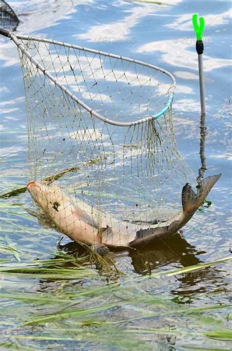 Catching Fish Using Net Fishing Outdoor Jack