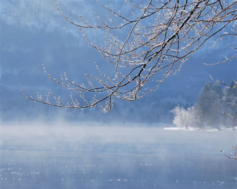 Wallpaper Sunlight Landscape Water Sky Snow Winter Branch Calm