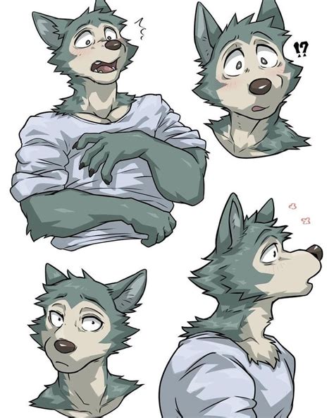 An Image Of Wolfs With Different Expressions On Their Face And Chest
