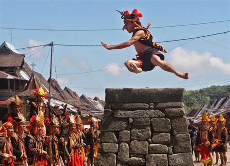 Fahombo A Jump Stone Rite Of Passage In Nias Island Indonesia Indonesian Islands Culture Tourism