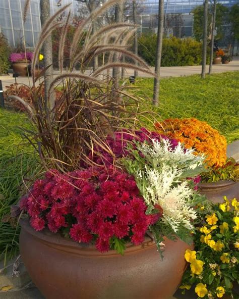 Fall Container Ideas Diy