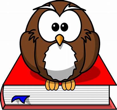 Smart Owl Clip Clipart Cliparts Student Person