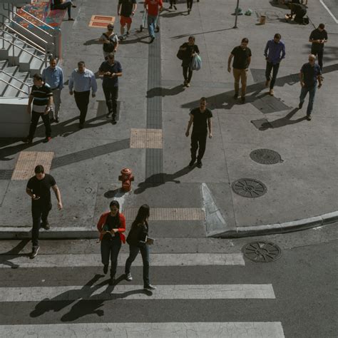 People Walking On Pedestrian Lane · Free Stock Photo