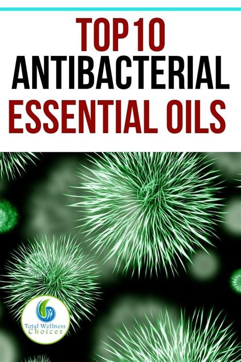 Top 10 Antibacterial Essential Oils Antibacterial Essential Oils