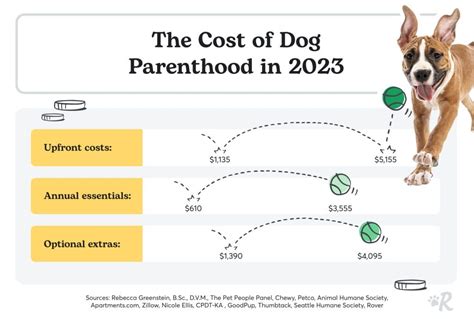 Cost Of Owning A Dog From Initial Cost To Annual Essentials