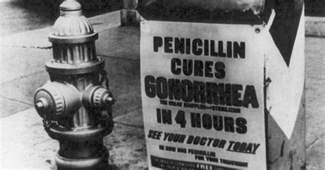 Penicillin Not The Pill Launched The Sexual Revolution