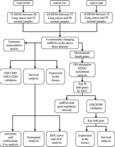 Flow Chart Of The Construction Of The Mirna Mrna Network Of Lung Cancer