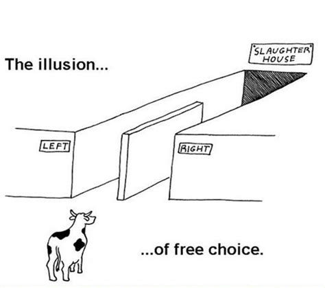 The Illusion Of Free Choice Pictures Photos And Images For Facebook