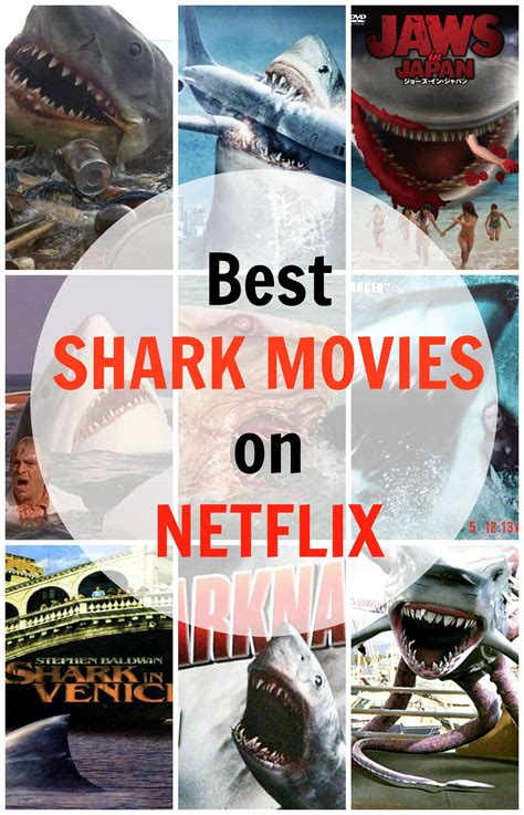 The brief amount of horror scenes are creepy and some are scary and tense but i never realized how much i hated all the backstory and family arguments they forced in. Shark movies on netflix 2018. Ranked: The top 10 killer ...