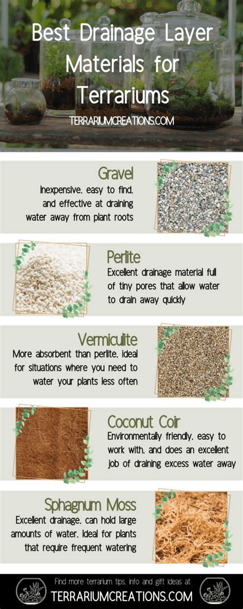 The Best Drainage Layer Materials For Terrariums Terrarium Creations