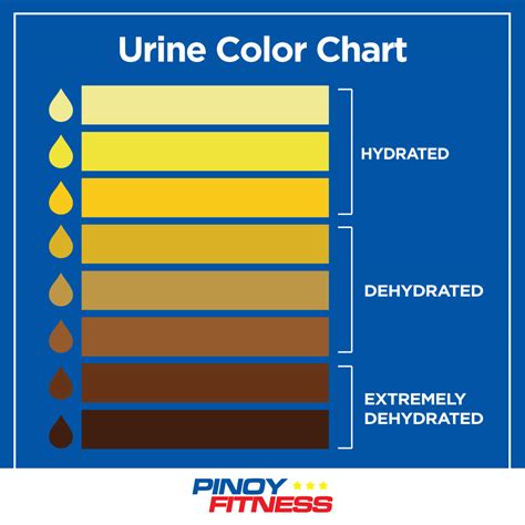 Urine Color Chart Pee Color Urinal Raw For Beauty Mrs Pip Urine